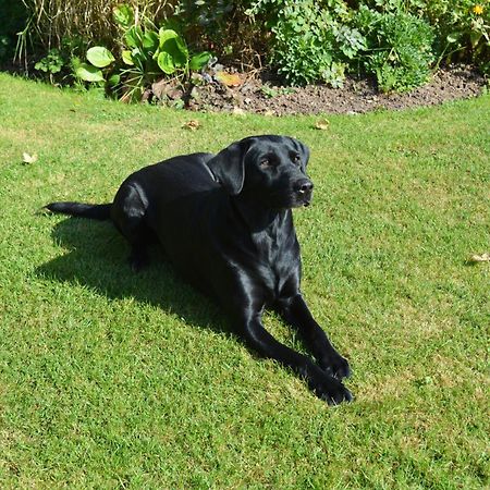 The Dinney B&B Bridgnorth Bagian luar foto