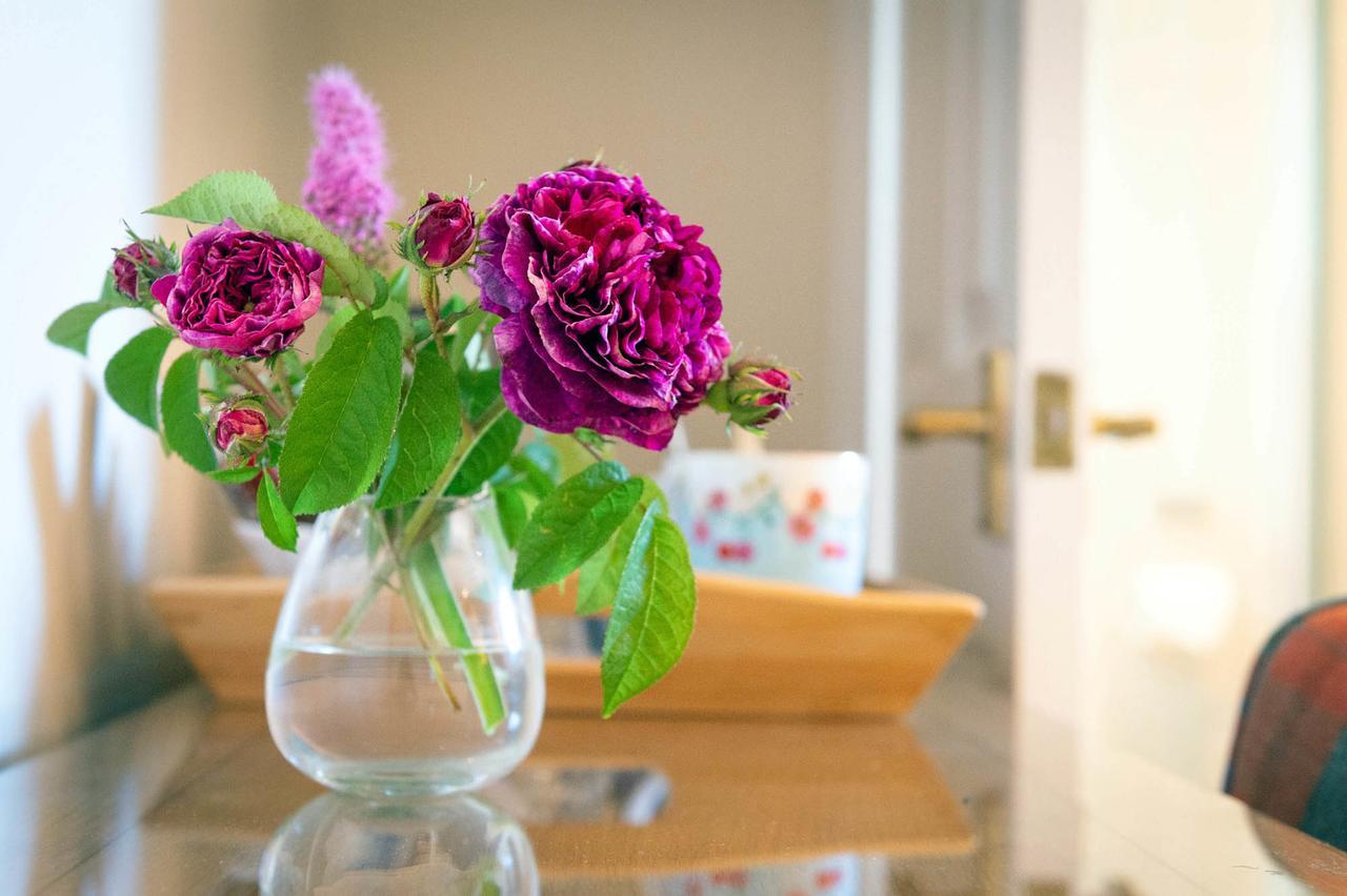 The Dinney B&B Bridgnorth Bagian luar foto