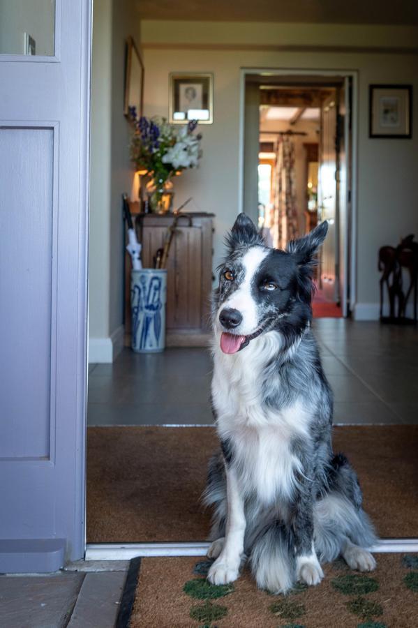 The Dinney B&B Bridgnorth Bagian luar foto