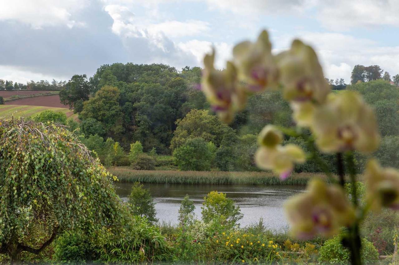 The Dinney B&B Bridgnorth Bagian luar foto